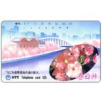 The Phonecard Shop: Japan, Kasugai - Cherry Blossoms, 105 units The Phonecard Shop: Japan, Kasugai - Cherry Blossoms, 105 units