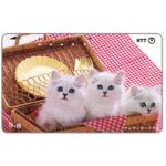 The Phonecard Shop: Japan, Three kittens in a basket, 50 units The Phonecard Shop: Japan, Three kittens in a basket, 50 units