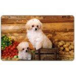 The Phonecard Shop: Japan, Two white puppies and vegetables, 50 units The Phonecard Shop: Japan, Two white puppies and vegetables, 50 units