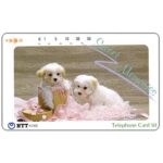 The Phonecard Shop: Japan, Sweet memories, 50 units The Phonecard Shop: Japan, Sweet memories, 50 units