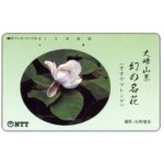 The Phonecard Shop: Japan, Mysterious Flower of Mt Omine (Oyama Magnolia), 50 units The Phonecard Shop: Japan, Mysterious Flower of Mt Omine (Oyama Magnolia), 50 units