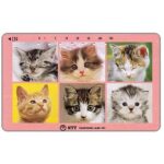 The Phonecard Shop: Japan, Six kittens, 50 units The Phonecard Shop: Japan, Six kittens, 50 units