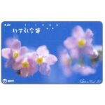 The Phonecard Shop: Japan, Myosotis flowers, 50 units The Phonecard Shop: Japan, Myosotis flowers, 50 units