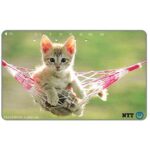 The Phonecard Shop: Japan, Kitten on hammock, 105 units The Phonecard Shop: Japan, Kitten on hammock, 105 units