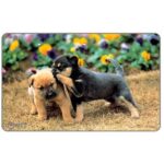 The Phonecard Shop: Japan, Two brown and black puppies, 50 units The Phonecard Shop: Japan, Two brown and black puppies, 50 units