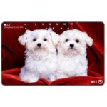 The Phonecard Shop: Japan, Two puppies on a red cloth, 105 units The Phonecard Shop: Japan, Two puppies on a red cloth, 105 units