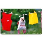 The Phonecard Shop: Japan, Puppy and laundry, 105 units The Phonecard Shop: Japan, Puppy and laundry, 105 units
