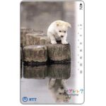 The Phonecard Shop: Japan, Puppy reflecting in water, 105 units The Phonecard Shop: Japan, Puppy reflecting in water, 105 units