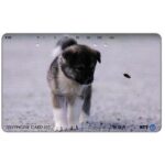 The Phonecard Shop: Japan, Puppy and flying insect, 105 units The Phonecard Shop: Japan, Puppy and flying insect, 105 units