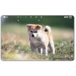 The Phonecard Shop: Japan, Puppy in a field, 50 units The Phonecard Shop: Japan, Puppy in a field, 50 units