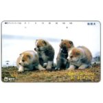 The Phonecard Shop: Japan, Four brown puppies, 105 units The Phonecard Shop: Japan, Four brown puppies, 105 units