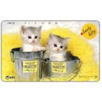 The Phonecard Shop: Japan, Two kittens in buckets, 50 units The Phonecard Shop: Japan, Two kittens in buckets, 50 units
