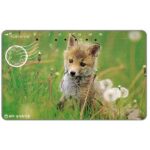 The Phonecard Shop: Japan, Little fox, 105 units The Phonecard Shop: Japan, Little fox, 105 units