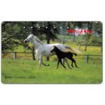 The Phonecard Shop: Japan, Horses, 105 units The Phonecard Shop: Japan, Horses, 105 units