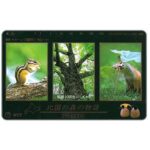The Phonecard Shop: Japan, Chipmunk and fox, 105 units The Phonecard Shop: Japan, Chipmunk and fox, 105 units