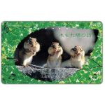 The Phonecard Shop: Japan, Chipmunks, 105 units The Phonecard Shop: Japan, Chipmunks, 105 units